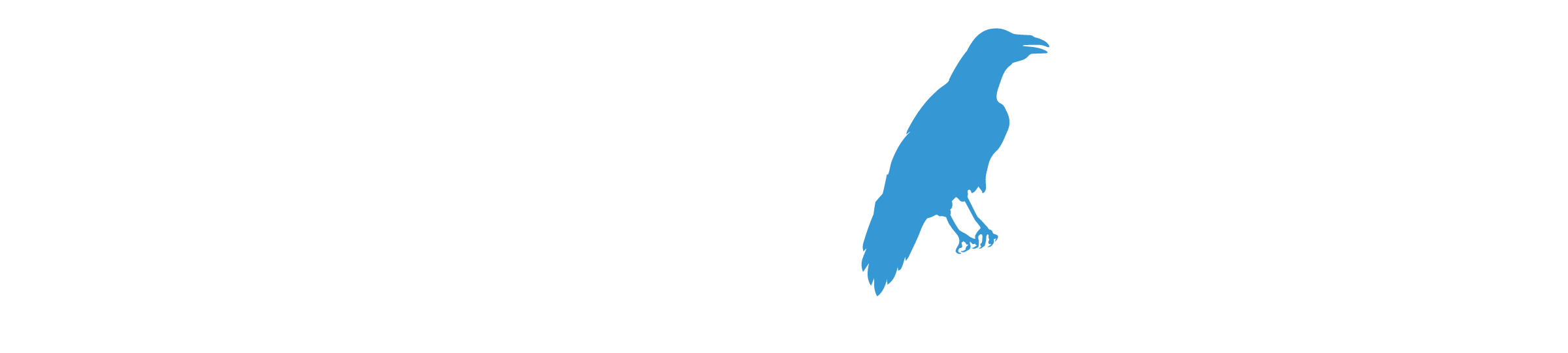 Wandering Rayven Media